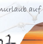 Physiotherapie, Ergotherapie und Wellness w�hrend Ihres Urlaubes auf der Insel Ummanz - Insel R�gen. Sie haben im normalen Alltag zu wenig Zeit oder Sie m�chte einen begonnene Behandlung im Urlaub nicht unterbrechen, dann buchen Sie unsere Ferienwohnung und nehmen unsere Leistungen der Physiotherapie und Ergotherapie in Anspruch. Privat oder auch auf Kassenrezept.